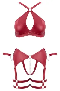 Ensemble BDSM bordeaux - Cotelli Bondage