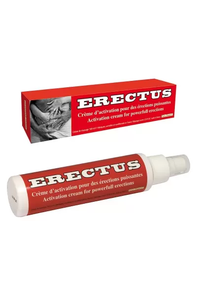 Erectus